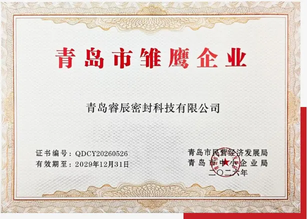 Qingdao Ruichen Sealing Technology Co., Ltd. 2026 Qingdao 