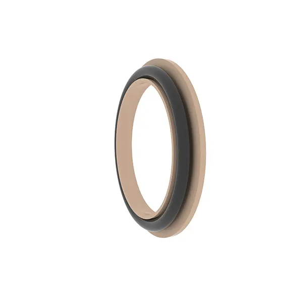 Rotary Spring Energized Seals